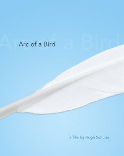 Arc of a Bird (2008)